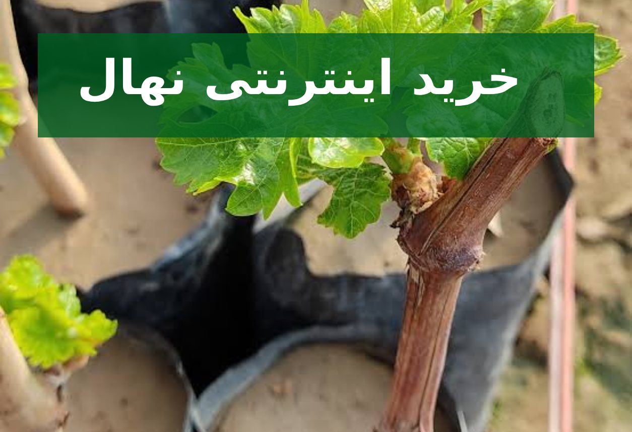 خرید اینترنتی نهال