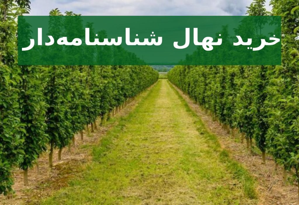 خرید نهال شناسنامه‌دار