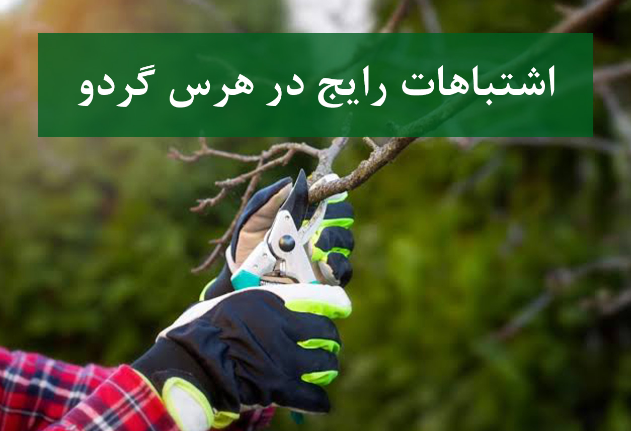 اشتباهات رایج در هرس گردو
