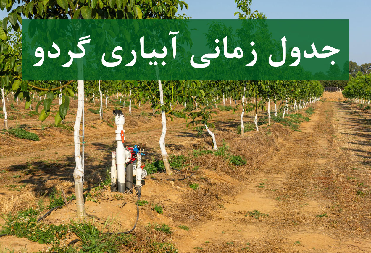 جدول زمانی آبیاری درخت گردو در طول سال
