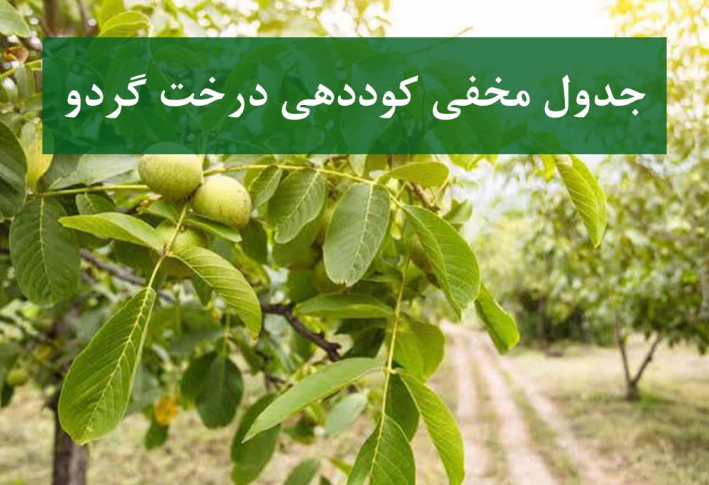 جدول کوددهی سالانه درخت گردو