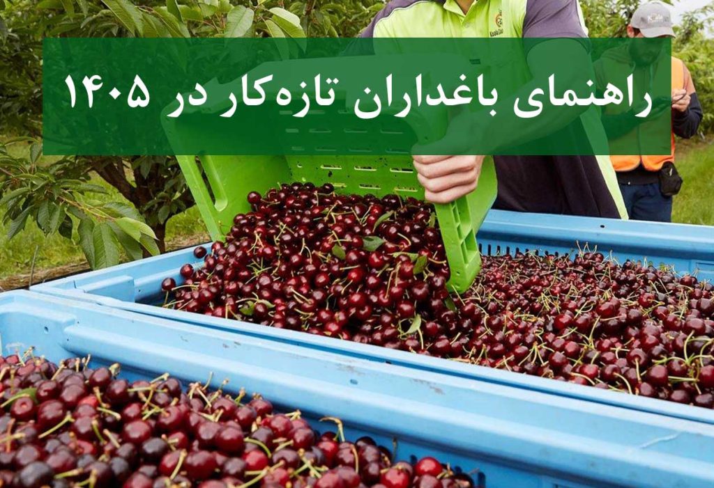 راهنمای باغداران تازه‌کار در 1405