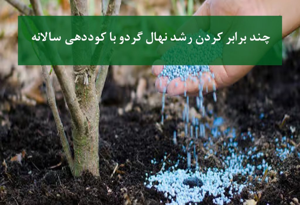 فرمول کوددهی سالانه نهال گردو برای رشد سریع