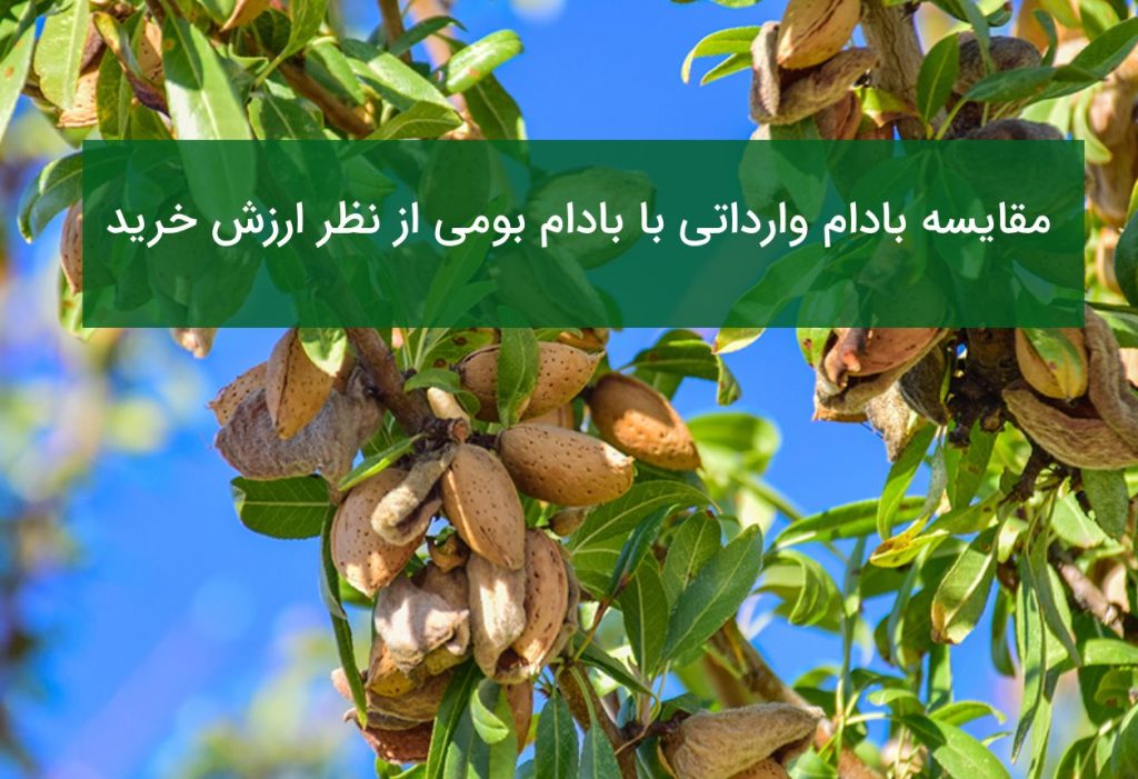 مقایسه بادام وارداتی با بادام بومی از نظر ارزش خرید