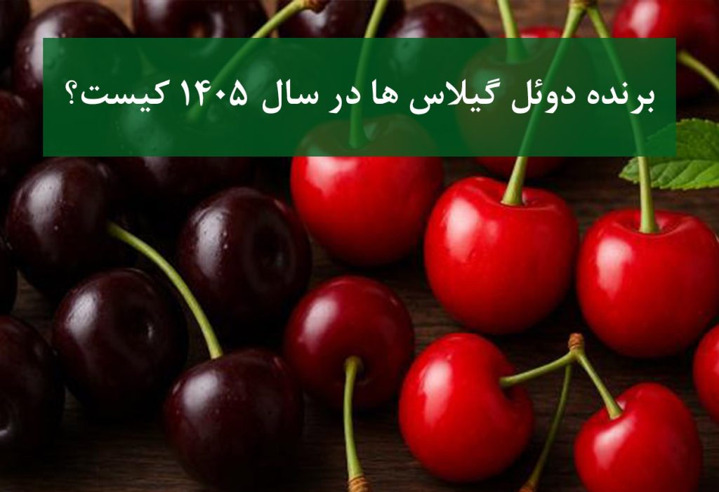 مقایسه نهال گیلاس کشت بافت و پایه رویشی
