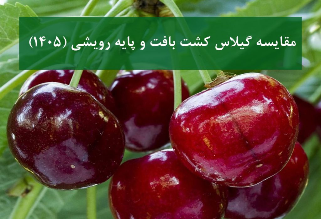 مقایسه نهال گیلاس کشت بافت و پایه رویشی در باغ کم‌آب
