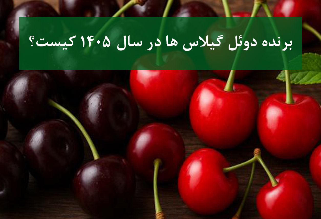 مقایسه نهال گیلاس کشت بافت و پایه رویشی