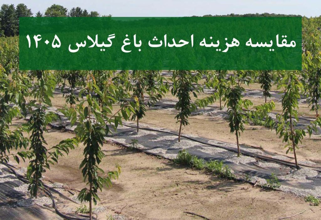 مقایسه هزینه احداث باغ گیلاس 1405