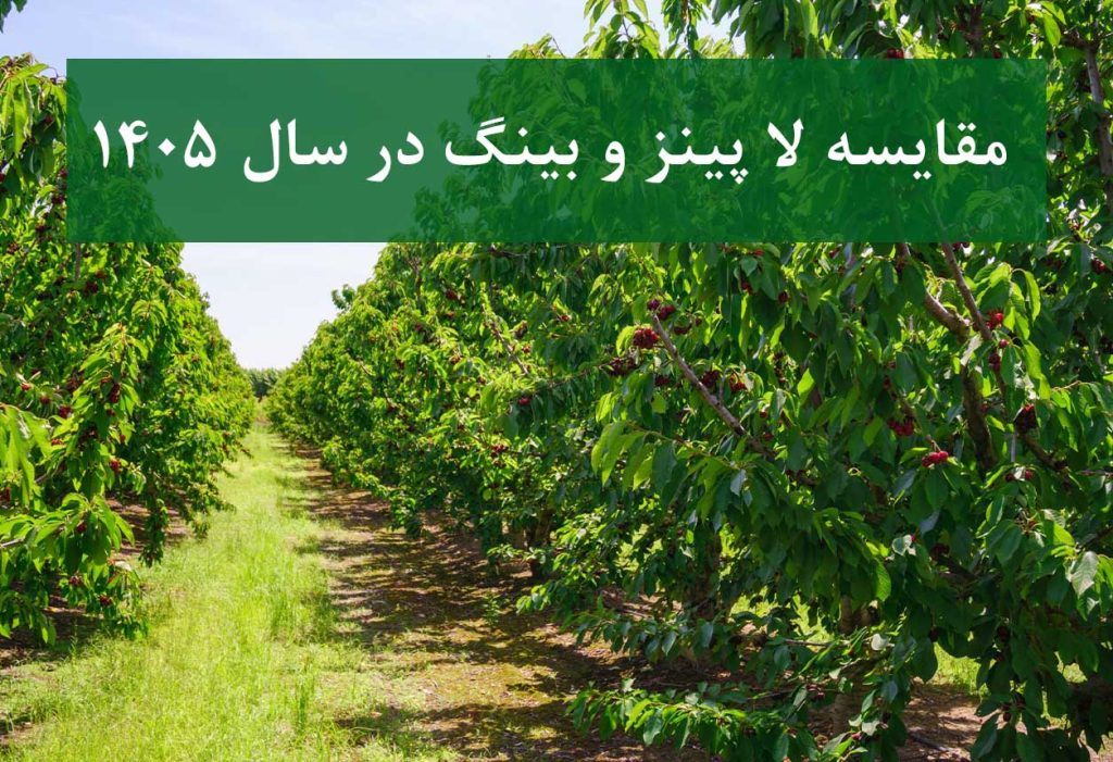مقایسه گیلاس لاپینز و بینگ روی پایه‌های خارجی