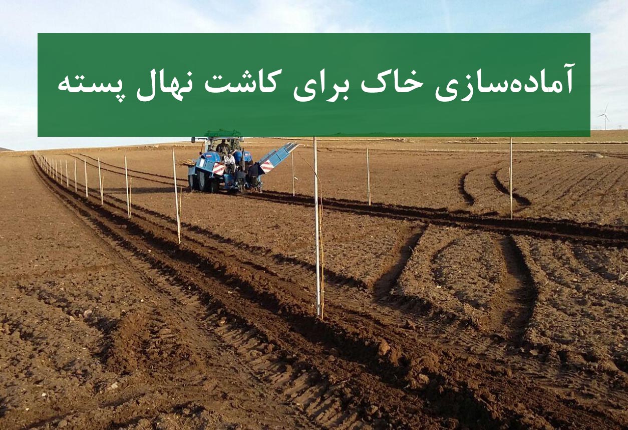 نهال پسته + آزمون خاک قبل از کاشت