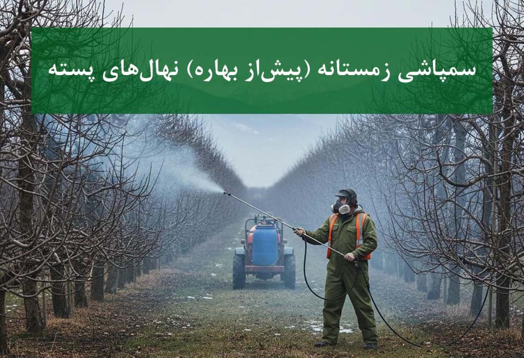 نهال پسته + سمپاشی زمستانه