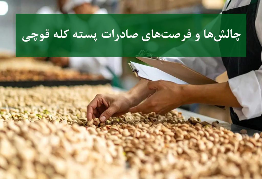 نهال پسته کله قوچی + پسته صادراتی با کیفیت ممتاز