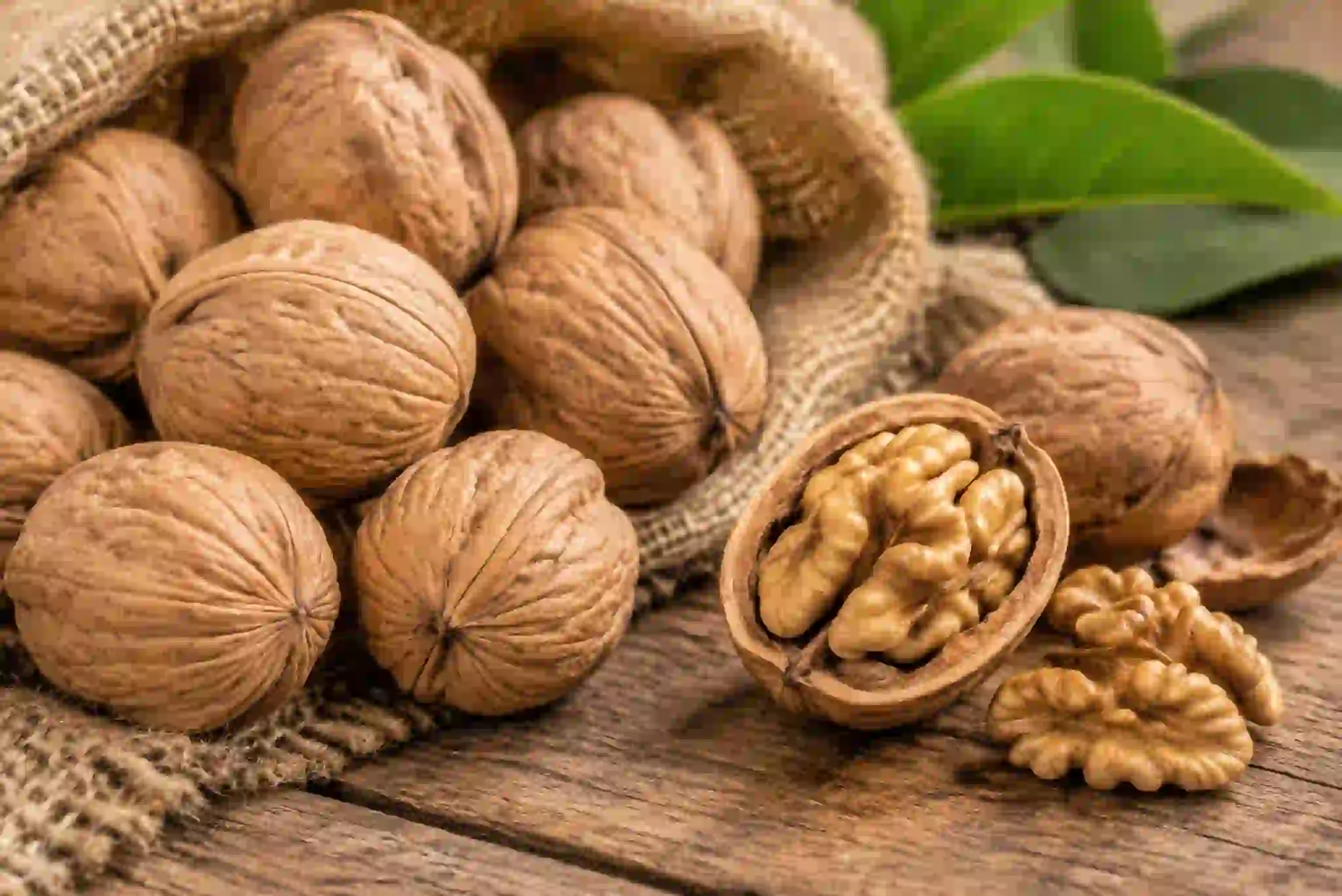 بذر گردو با پوست چوبی و مغز شده + مقایسه لایه محافظ بذر و تماس روغن با هوا