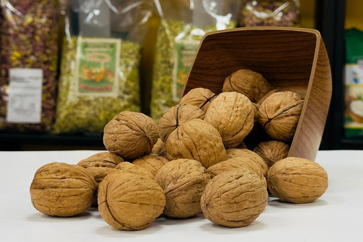 گردوی درشت آجیل‌فروشی + تفاوت گردوی خوراکی با بذر مناسب کاشت